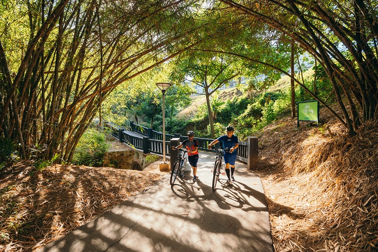 Consuelo Park properties: A nature escape, an event haven, and a home-away-from-home at the heart of FPIP