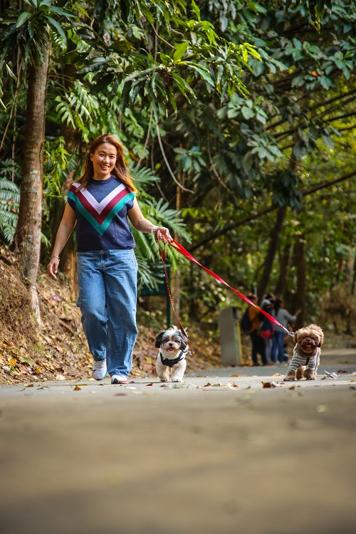 Consuelo Park properties: A nature escape, an event haven, and a home-away-from-home at the heart of FPIP