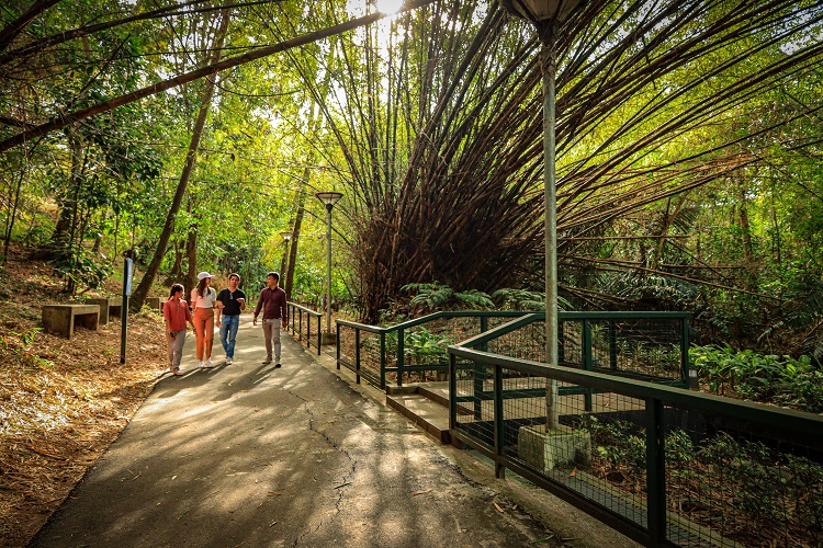 Consuelo Park properties: A nature escape, an event haven, and a home-away-from-home at the heart of FPIP