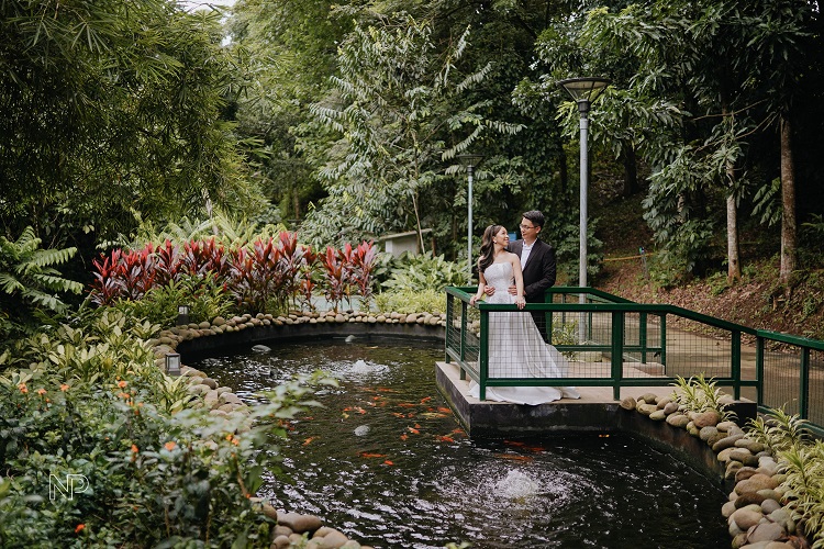 Consuelo Park’s koi pond adjacent to the red Japanese bridge
